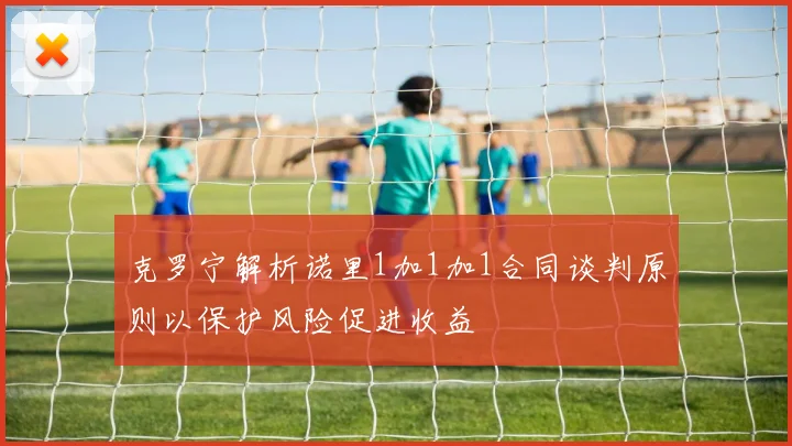 克罗宁解析诺里1加1加1合同谈判原则以保护风险促进收益