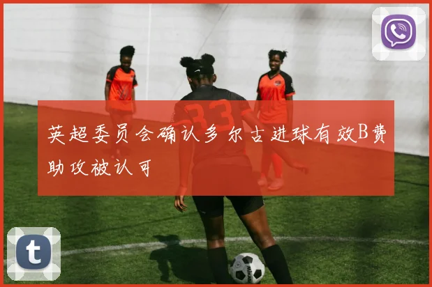 英超委员会确认多尔古进球有效B费助攻被认可